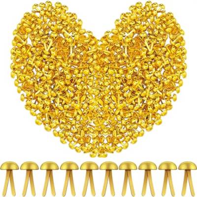 LJFEA 200pcs Mini Brads Muster Tasche Clip Runde Kopf Clip Muster Clip Metall Runde Kopf Clip Scrapbook Brads Muster Clip Schule Büro Papier Brief Clip Handmade DIY Gold und gemischte Farben 5 * 8mm von LJFEA